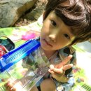 청계 맑은숲공원 이미지