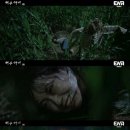 김계림 카카오 검색결과