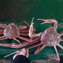 산지수산 이미지