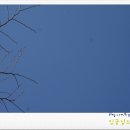 수산리-19 이미지