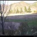 달산초등 이미지