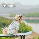 우리들 목장 | 등산 없이 악어섬 본다! 충주 애견동반 카페 게으른악어