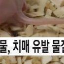 팔팔청과