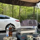 장태산자연휴양림 캠핑장 | [캠핑 09] 대전 장태산자연휴양림 캠핑장 후기