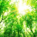 경영기업 이미지