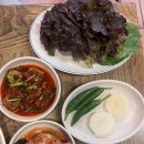 돼지들의이야기 이미지