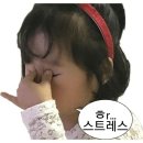 본식 DVD | 화이트모티브 계약 후기