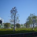 이기대공원(큰고개쉼터) 이미지