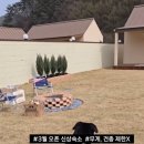 댕댕별 네이버블로그