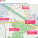 동아주유소 | 경주벚꽃마라톤 2026 총정리 + 경주국제마라톤 차이 (코스, 주차 여부까지)