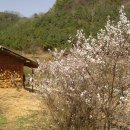 아름농장 이미지