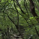 풍암정 | (월간산행) 7월의 무등산