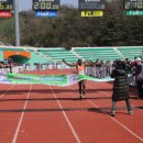 군산월명종합경기장주경기장 이미지