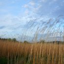 유애경 카카오 검색결과