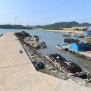 진모축구장 이미지