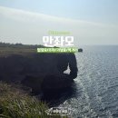 코끼리바위앞민박 | [오키나와여행] 오키나와 가볼만한곳 만좌모 코끼리바위 주차 입장료 기념품 먹거리까지 총정리!