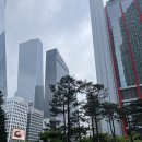 블루밍호텔 | 여의도 콘래드호텔 플레임즈에서 하겐다즈 블루밍 넛츠 케이크 먹은 후기