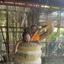 노엘농장 이미지