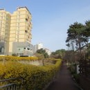 아래쇠죽골천 이미지