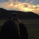 혜인이네꽃가게 | 아무도 모를 추억 틈에 너와 내가 있어