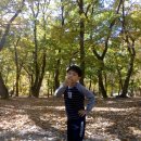 표충사놀이터(=표충사야영장) 이미지