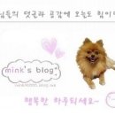 우리 가족 헤어 컷 이미지