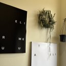 아뜰리에즈므 | 아뜰리에즈므 🌀 완전 느좋이잖앙