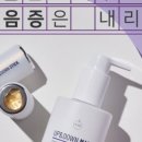 업앤다운2