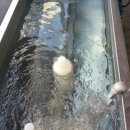 전통두부마을 이미지