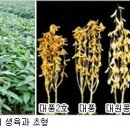 대풍개발