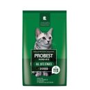 베스트 캣 이미지