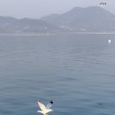 여수 요트투어 여수아이랑 선상에서 특별한 추억 만들기