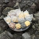 오복김밥 | 제주 동문시장 야시장 먹거리 추천 - 오복떡집, 제주 삼춘네 전복김밥, 청년미남들 랍스터 내돈내산 후기