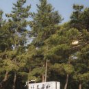 이디야커피입암남부점 네이버블로그