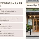 하이잉글리쉬학원 | 초등 영어 학원 선택 가이드! 우리 아이에게 맞는 곳은? 🏫✨