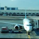 두바이 짐 이미지