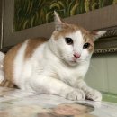 박달1동행정복지센터 이미지