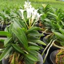 두엽농장 이미지