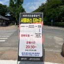 소동느티나무 | 안동 하회마을 입장료 주차장 정보 부용대 자전거 타고 둘러보기 [1탄]