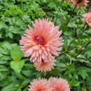 태백산보석사우나 이미지