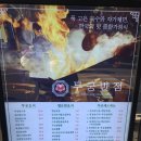 은화반점