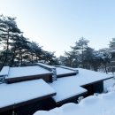 리솜