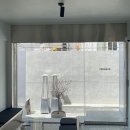파퓰러(popular)