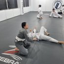 센트럴짐주짓수