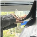 배가헤어 이미지