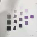 색채헤어 | 미용학 색채 수업 후기