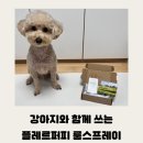 플레르퍼피 | 반려동물과 함께 사용 가능한 플레르퍼피 룸스프레이 내돈내산 후기