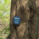 완숙골약수터 이미지