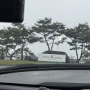 킹스클럽 | [충남 태안] 5월 로얄링스 CC 킹스 코스 라운딩 후기!