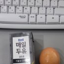 성남권투체육관 이미지